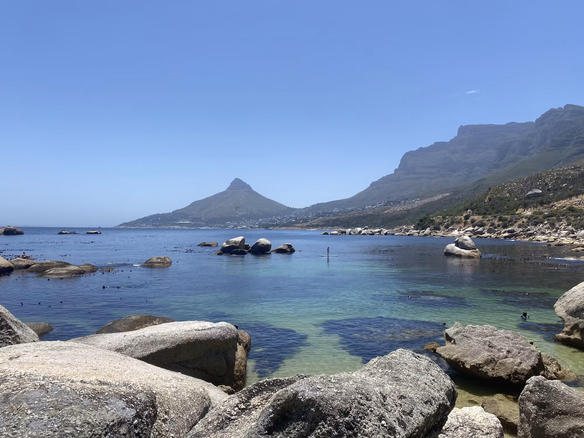 Diving Into Adventure: A Guide to the World’s Most Thrilling Diving Experiences